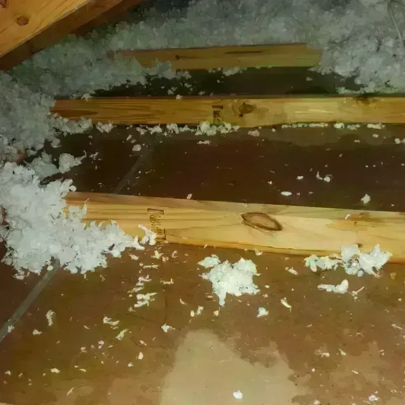 Attic Water Damage in McCaysville, GA