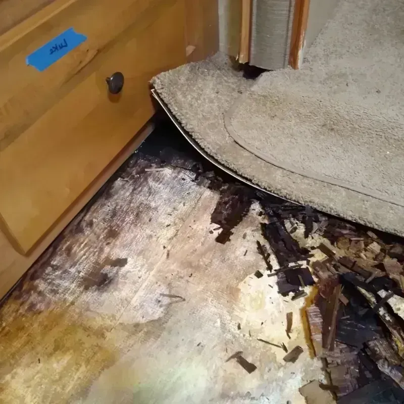 Best Wood Floor Water Damage Service in McCaysville, GA